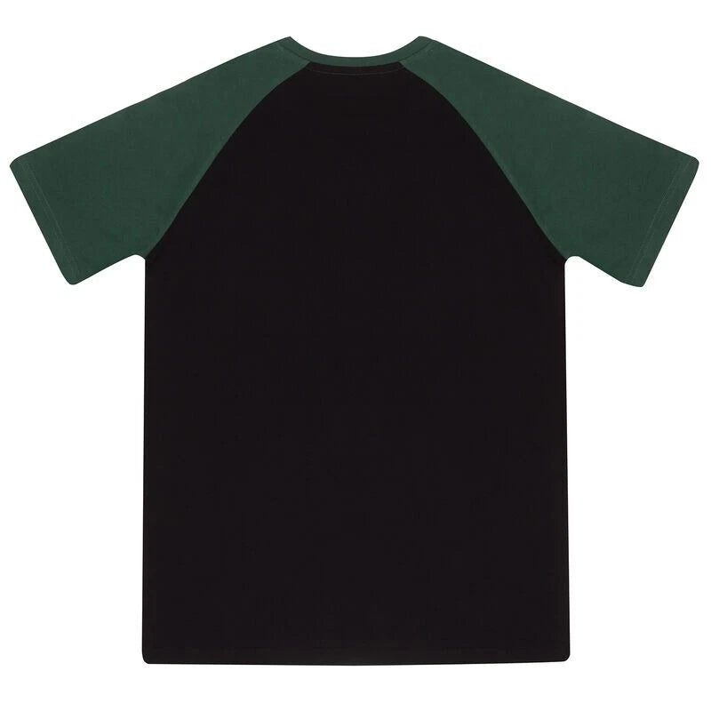 SLYTHERIN HOUSE - HARRY POTTER - RAGLAN T-SHIRT